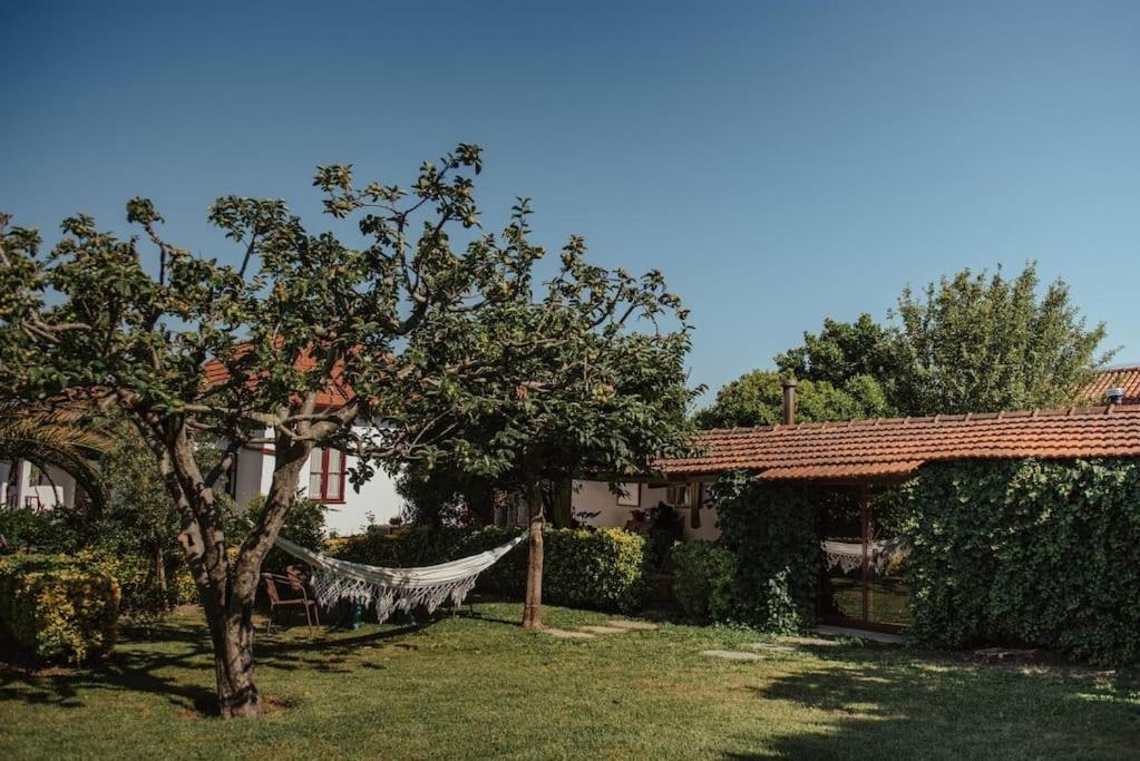 Casa De Marlaes Villa Lousada Exteriör bild